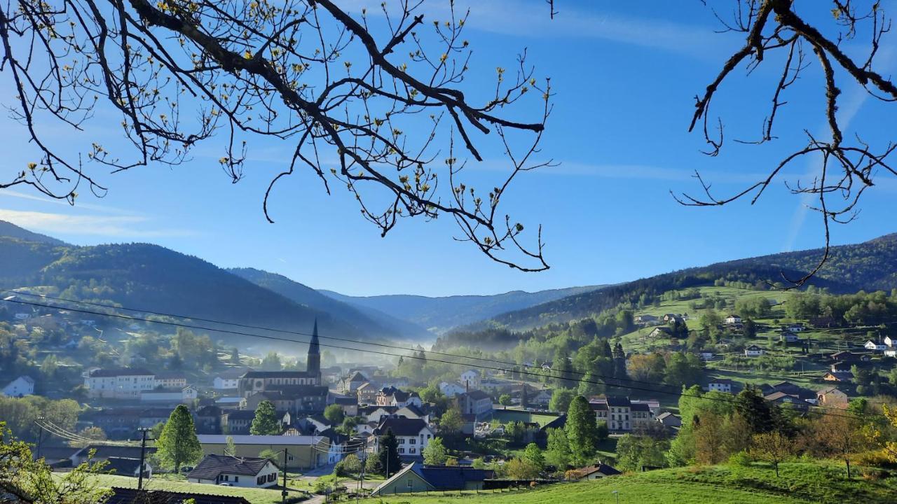 Gite Des 3 Jonquilles Saint-Maurice-sur-Moselle Buitenkant foto