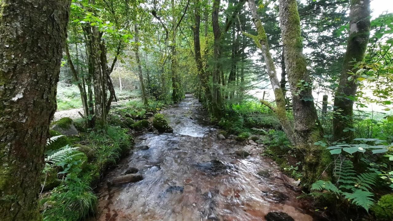 Gite Des 3 Jonquilles Saint-Maurice-sur-Moselle Buitenkant foto