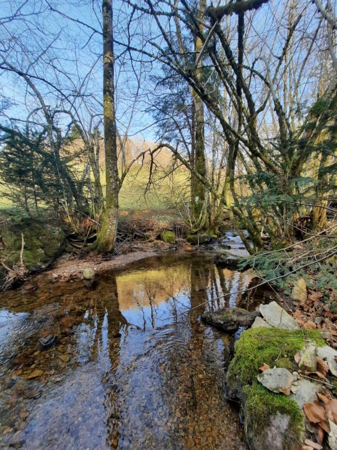 Gite Des 3 Jonquilles Saint-Maurice-sur-Moselle Buitenkant foto