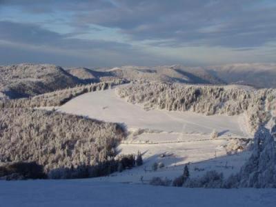 Gite Des 3 Jonquilles Saint-Maurice-sur-Moselle Buitenkant foto